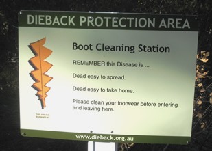 Dieback notice